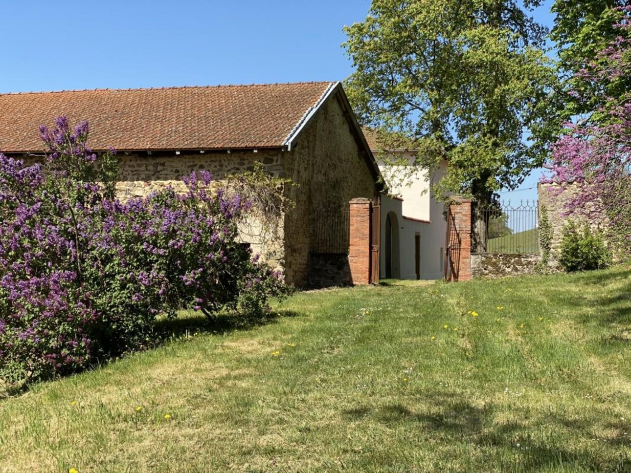 Photos 11 - Equestrian - Ecurie de propriétaire et gite sur 16,5 Ha- Entre Tarare et Roa