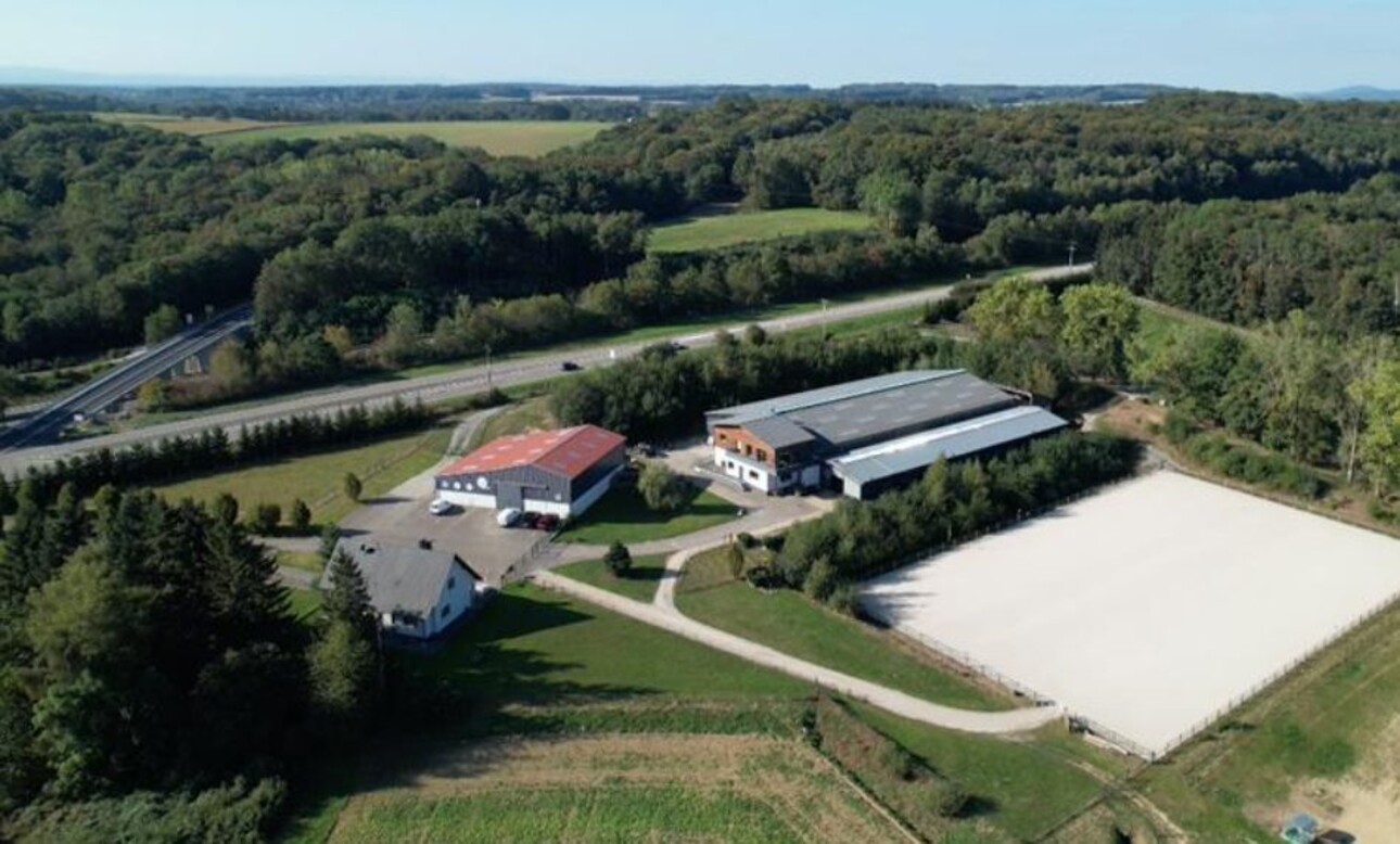 Photos 1 - Equestrian - Haras d'exception à vendre en Alsace, 10ha d'un tenant