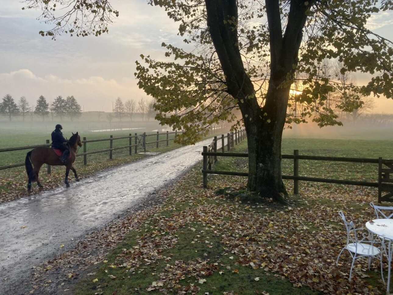 Photos 21 - Equestrian - Ferme équestre avec gîtes et chambres d'hôtes du 18ème