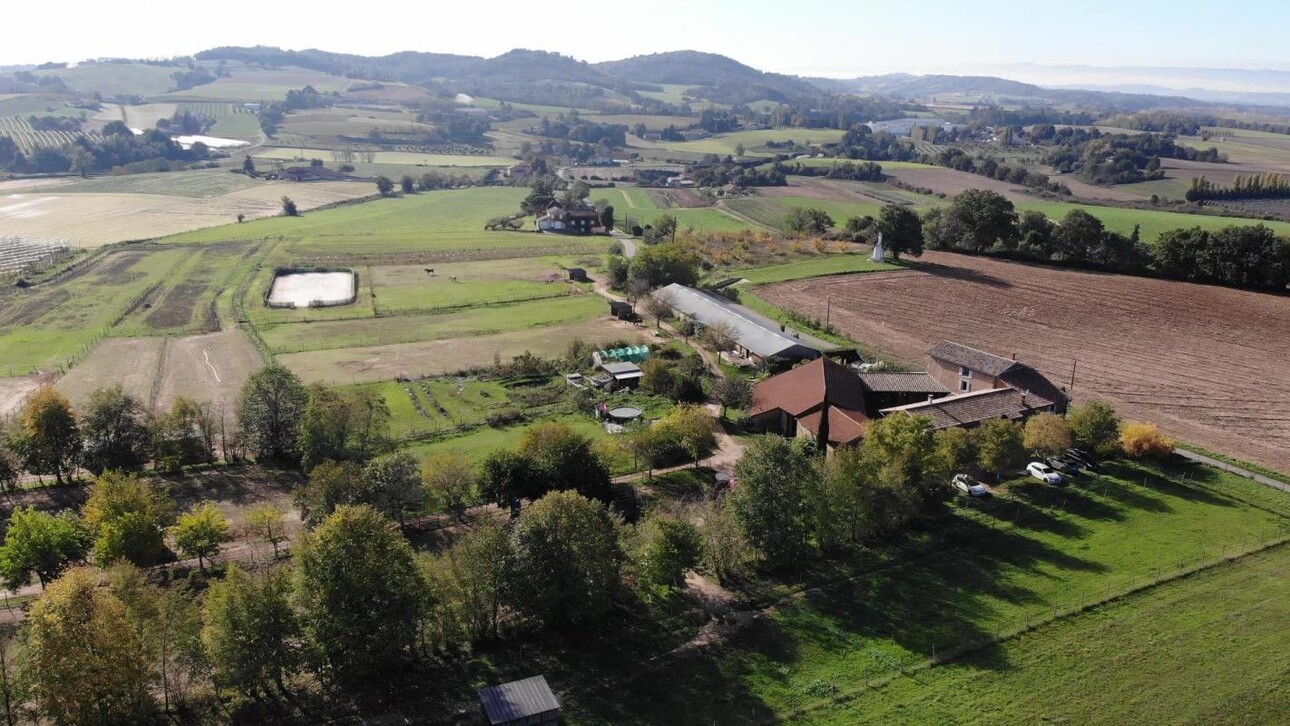 Photos 1 - Equestrian - Ecurie de propriétaire avec maison et gites sur 5 Ha - Secteu