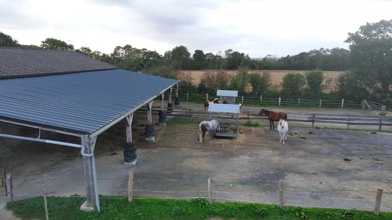 Photos 5 - Equestrian - CENTRE ÉQUESTRE ET GÎTES, CLÉS EN MAIN, SUR 8,56 HA - SECTEUR