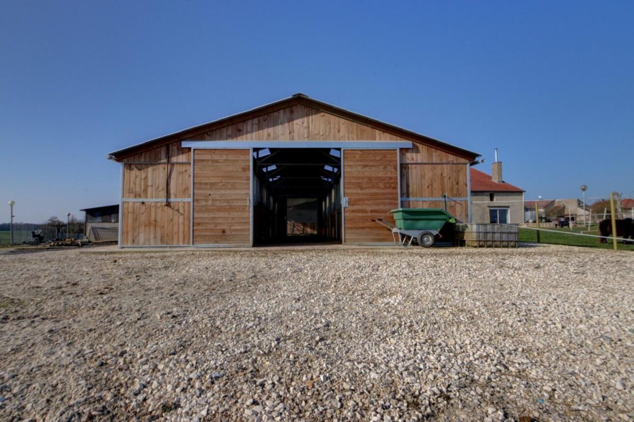 Photos 4 - Équestre - Charmante propriété équestre sur 3,86 ha et maison de 225 m²