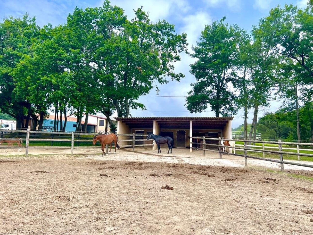 Photos 4 - Equestrian - Domaine Equestre à deux pas de la mer sur 3,3 Ha - Secteur Bi