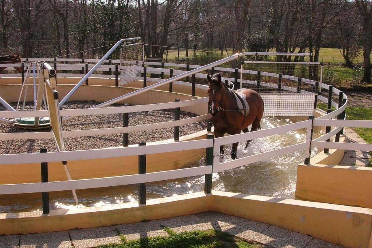 Photos 5 - Equestrian - Domaine Equestre à deux pas de la mer sur 3,3 Ha - Secteur Bi