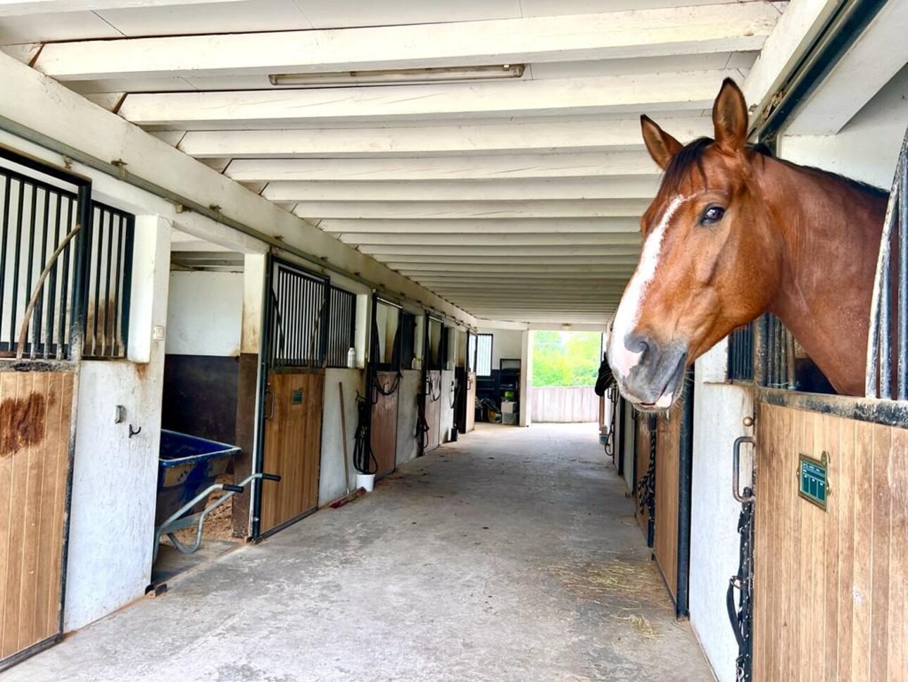 Photos 6 - Equestrian - Domaine Equestre à deux pas de la mer sur 3,3 Ha - Secteur Bi