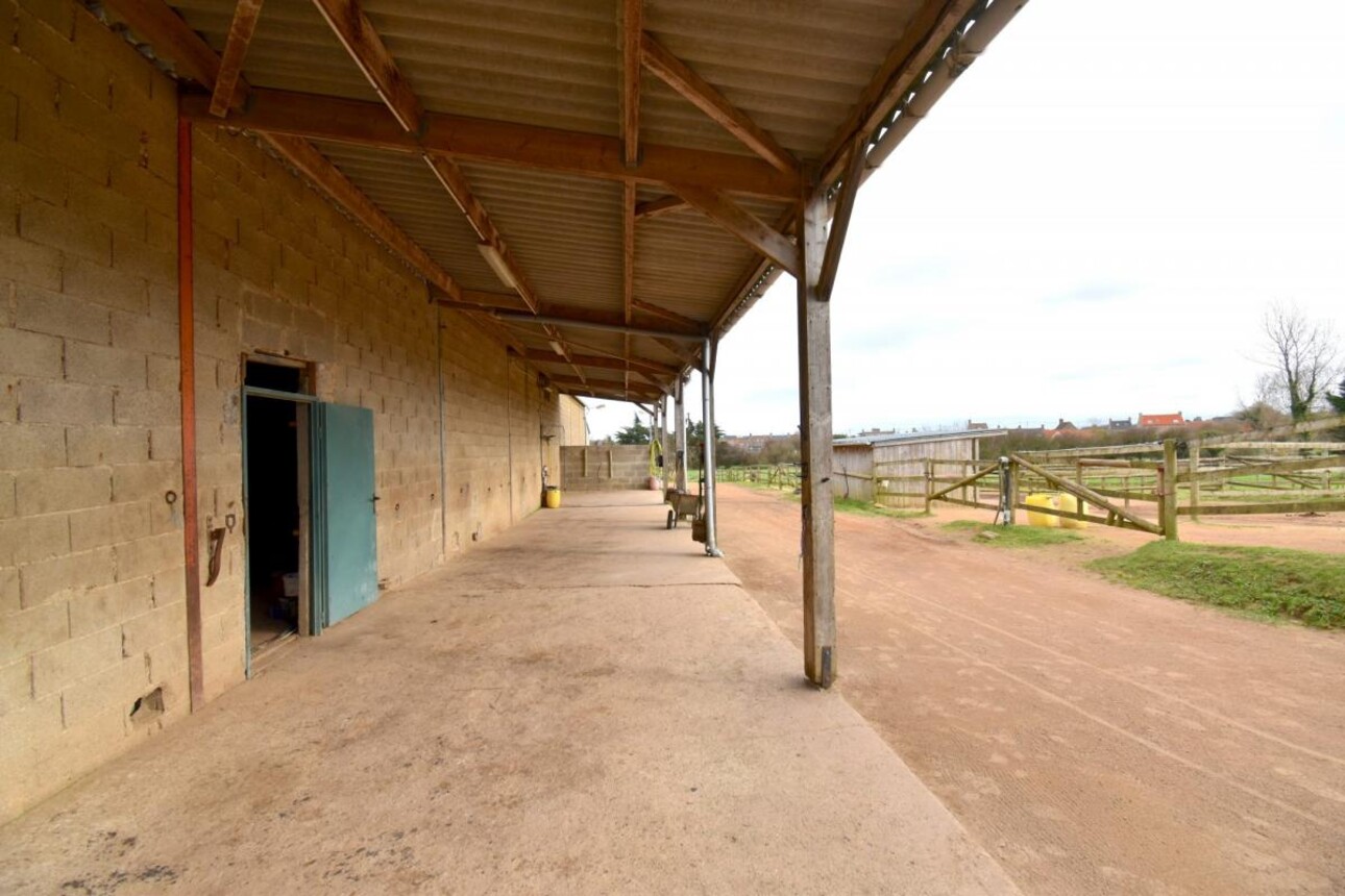 Photos 7 - Équestre - PONEY-CLUB DE BORD DE MER, SUR 5,6 HA - SECTEUR NORD MANCHE