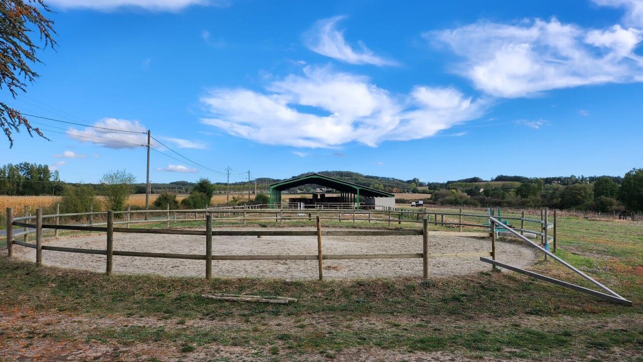 Photos 13 - Equestrian - Propriété équestre sur 8 ha dans le Tarn