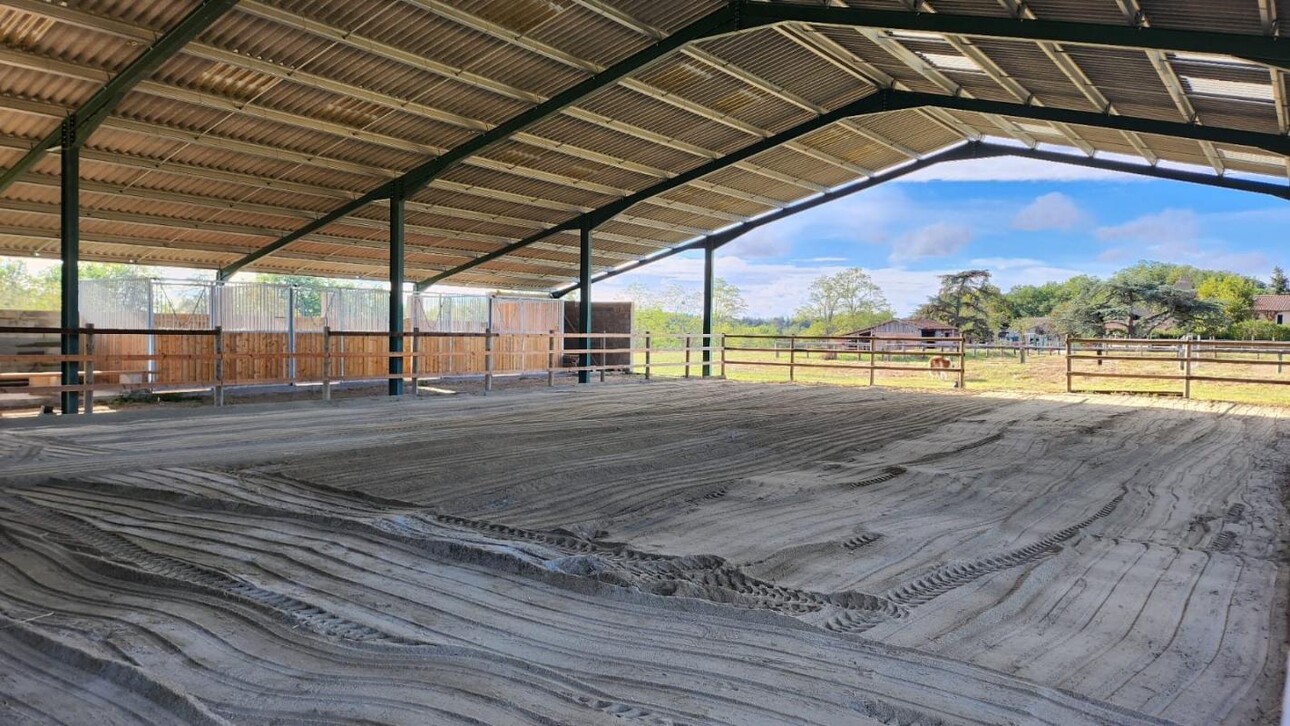 Photos 14 - Equestrian - Propriété équestre sur 8 ha dans le Tarn