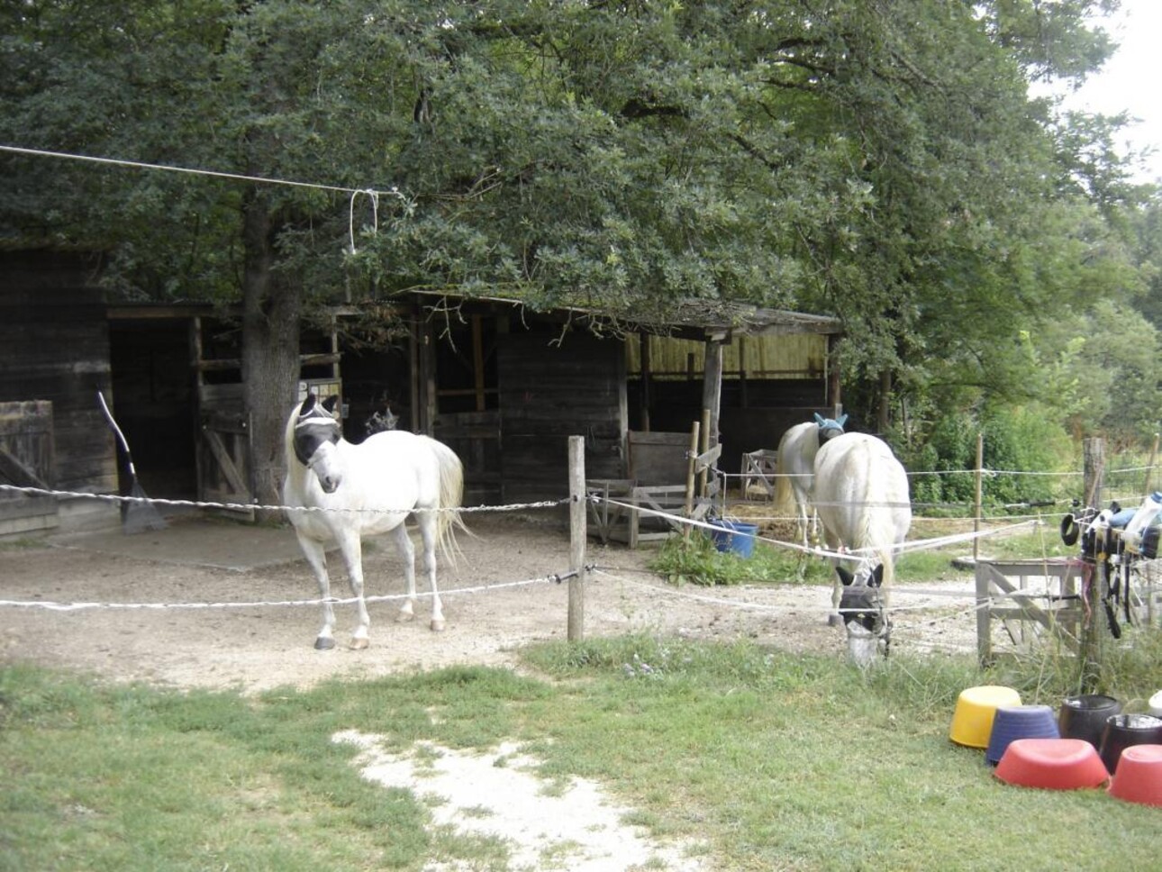 Photos 10 - Equestrian - Maison à vendre Lauzerte