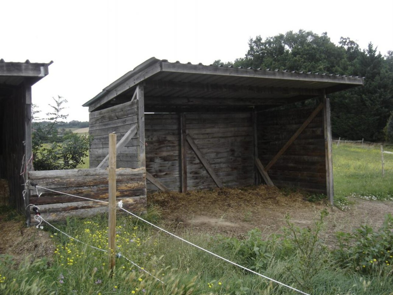 Photos 12 - Equestrian - Maison à vendre Lauzerte