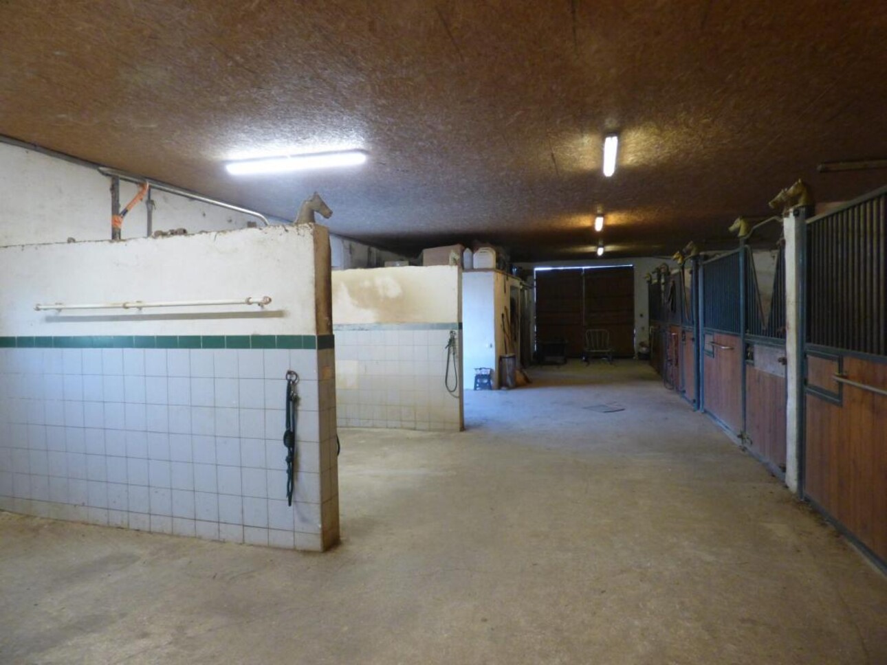 Photos 5 - Equestrian - Ecurie privée avec maison d'habitation sur 3,7 Ha - Secteur