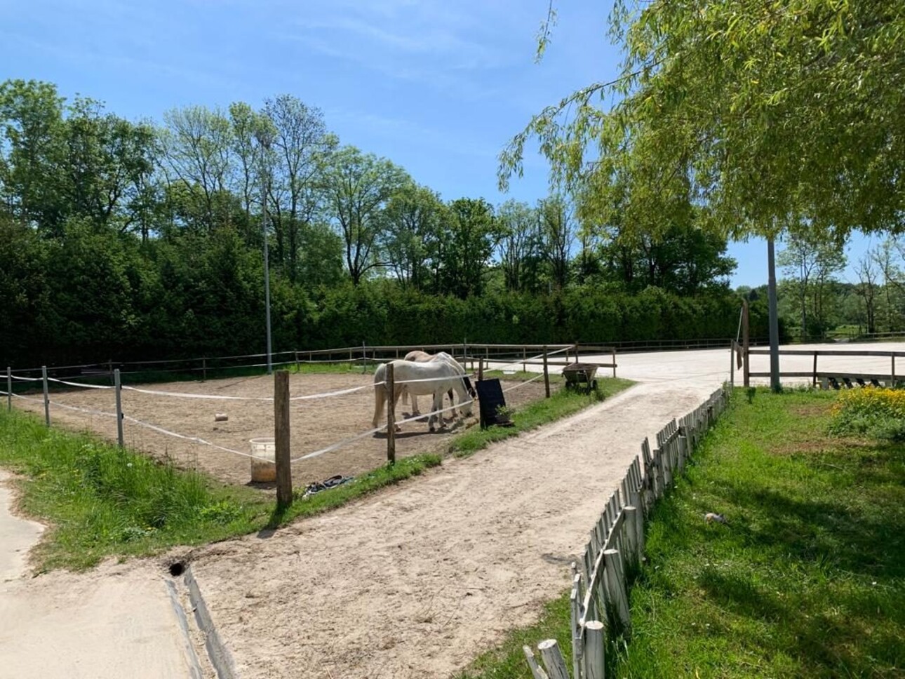 Photos 3 - Equestrian - Installations équestres Pays de Gex