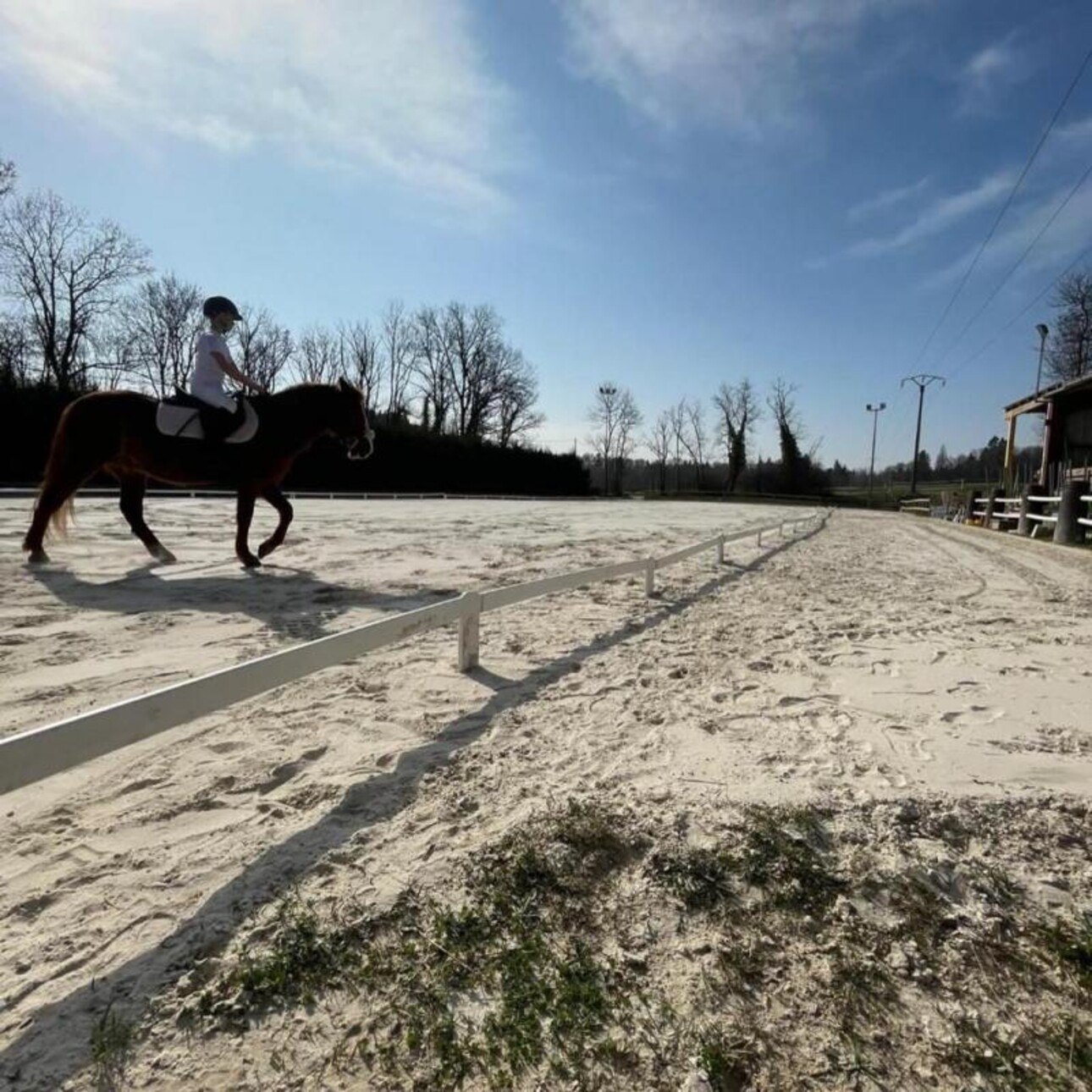 Photos 4 - Equestrian - Installations équestres Pays de Gex