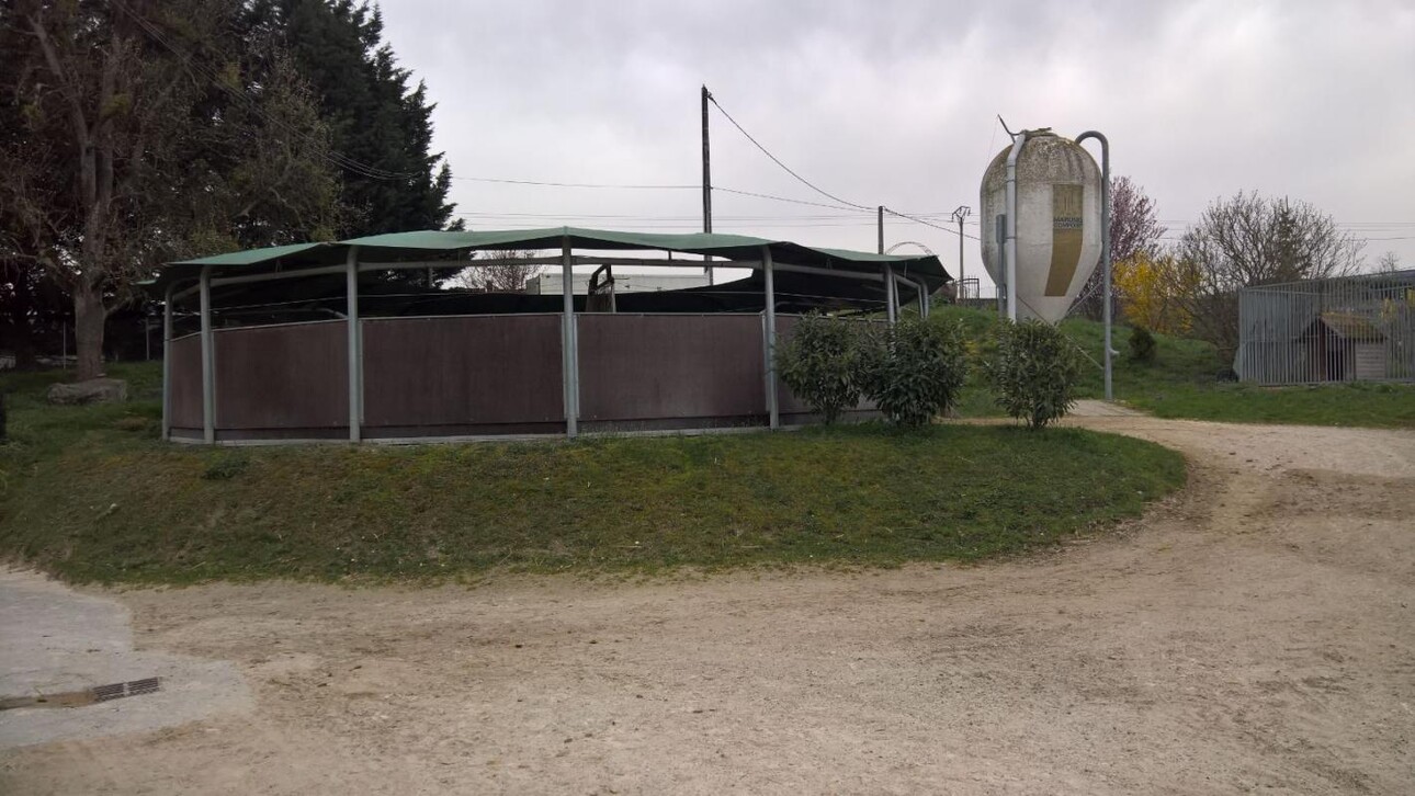 Photos 8 - Equestrian - Superbe Centre Équestre à Vendre - 25 Minutes de Genève - Ba