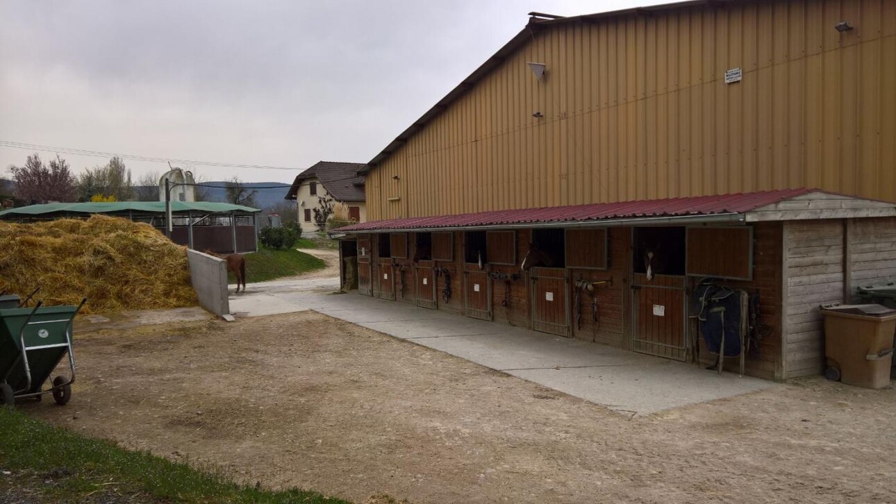 Photos 9 - Equestrian - Superbe Centre Équestre à Vendre - 25 Minutes de Genève - Ba