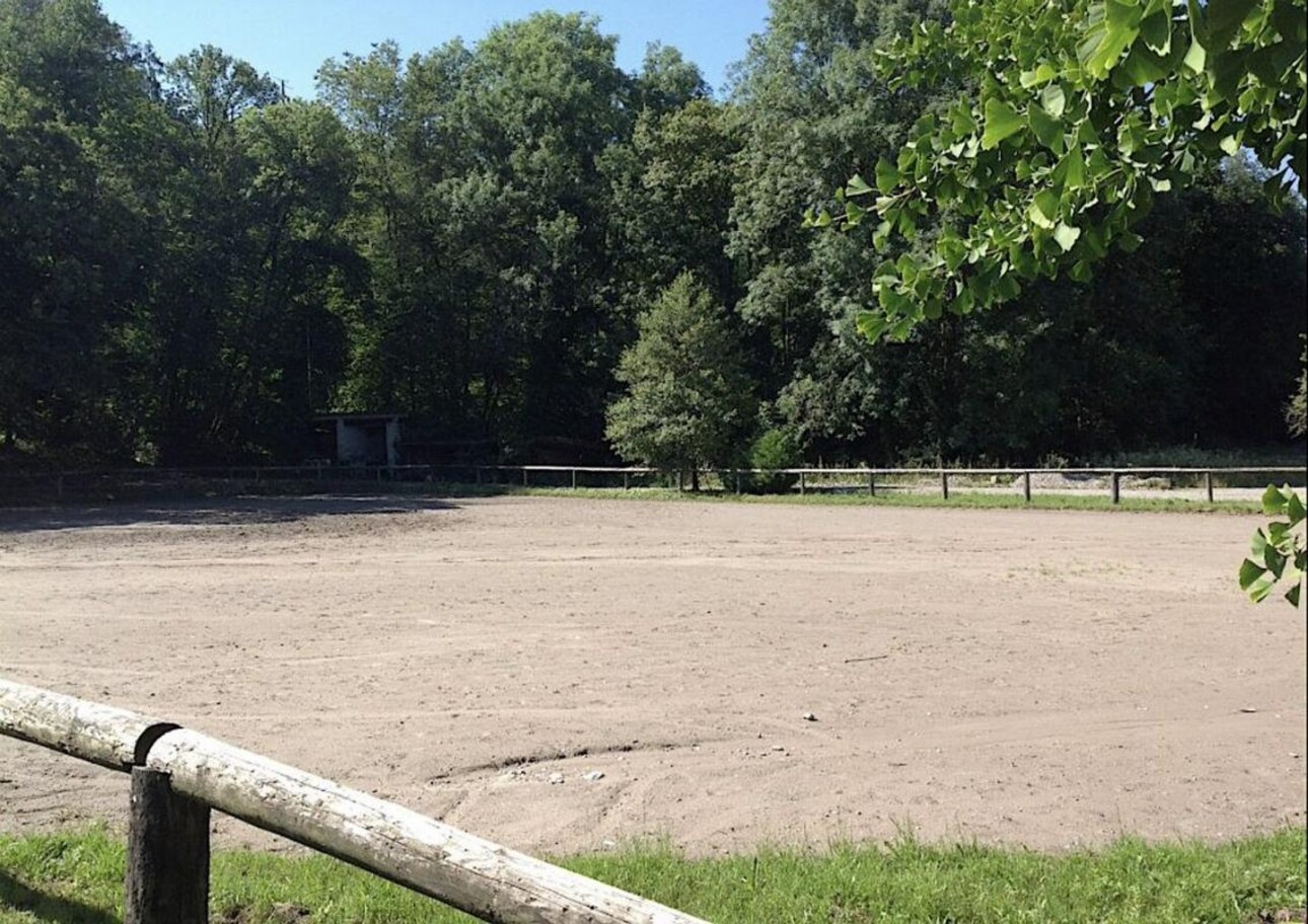 Photos 2 - Equestrian - Installation équestre - Bassin Lémanique