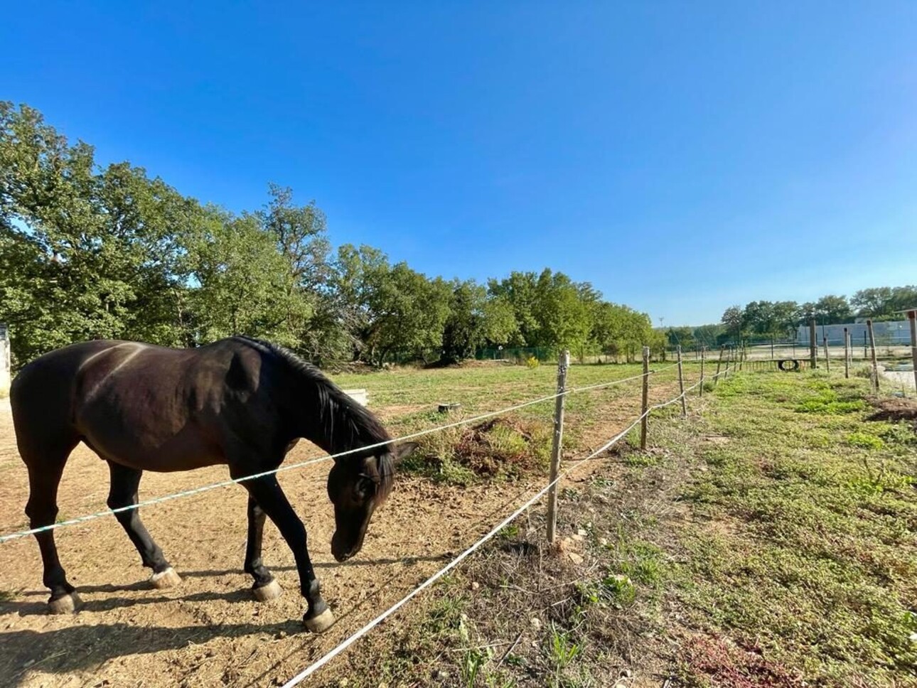 Photos 7 - Equestrian - Maison à vendre Fayence