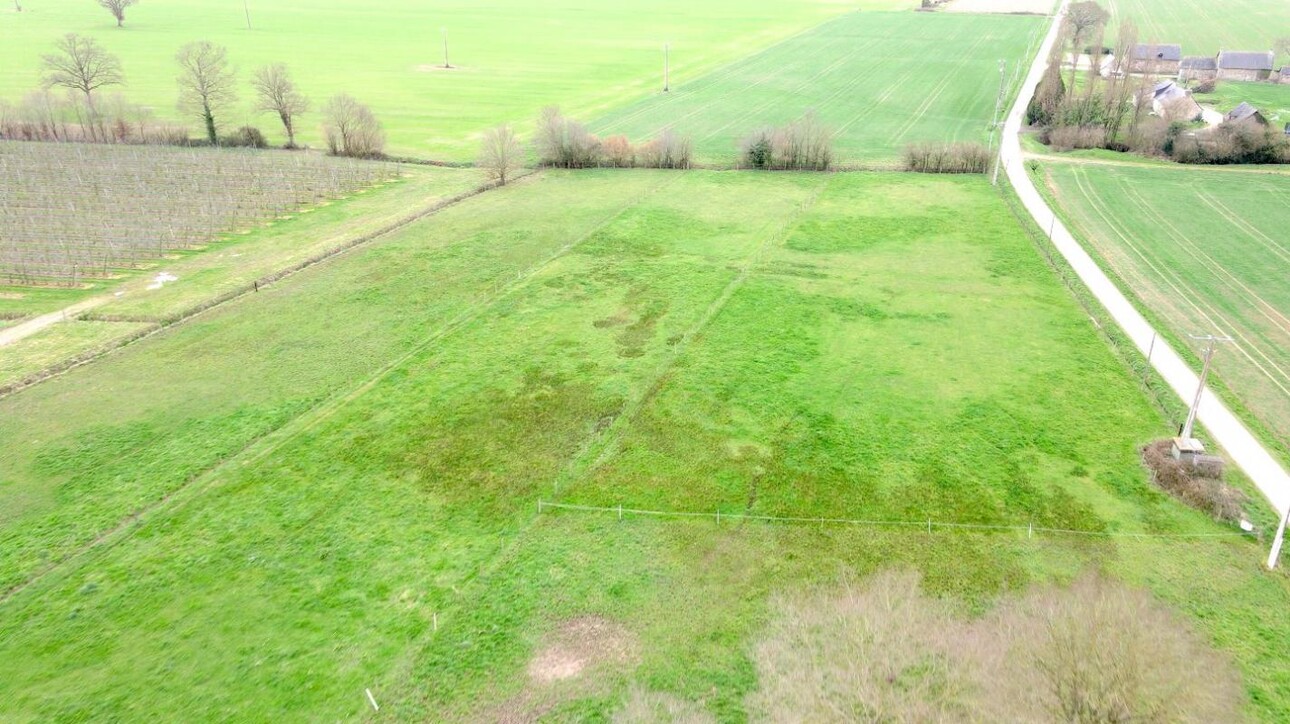 Photos 16 - Equestrian - SUPERBE PROPRIÉTÉ ÉQUESTRE SUR 9,88 HA - SECTEUR DE RENNES (3