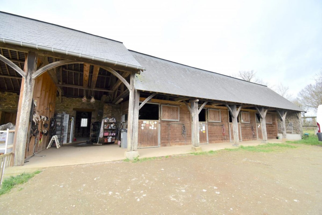 Photos 17 - Equestrian - SUPERBE PROPRIÉTÉ ÉQUESTRE SUR 9,88 HA - SECTEUR DE RENNES (3