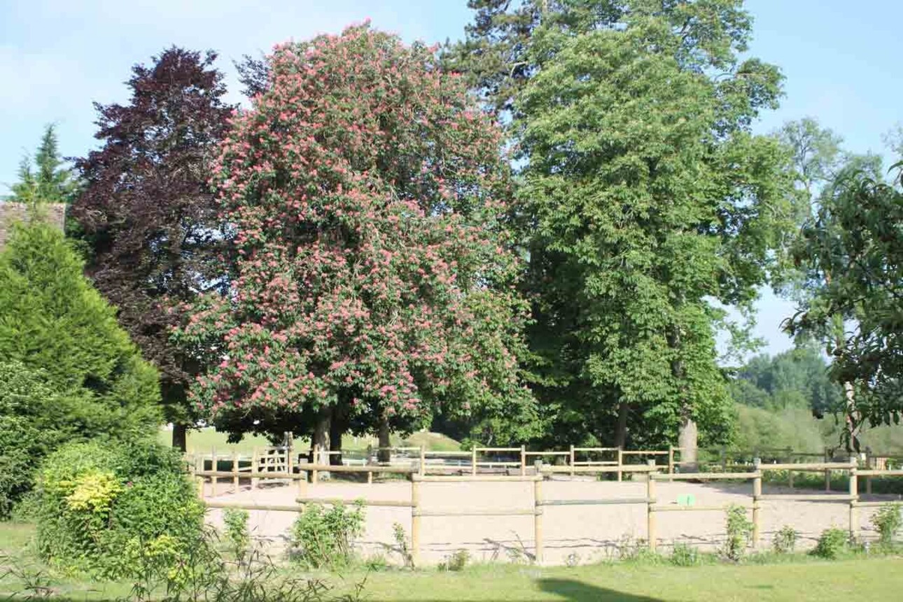 Photos 5 - Equestrian - Gîte de Groupe et Centre Équestre à Deux Pas du Château de C