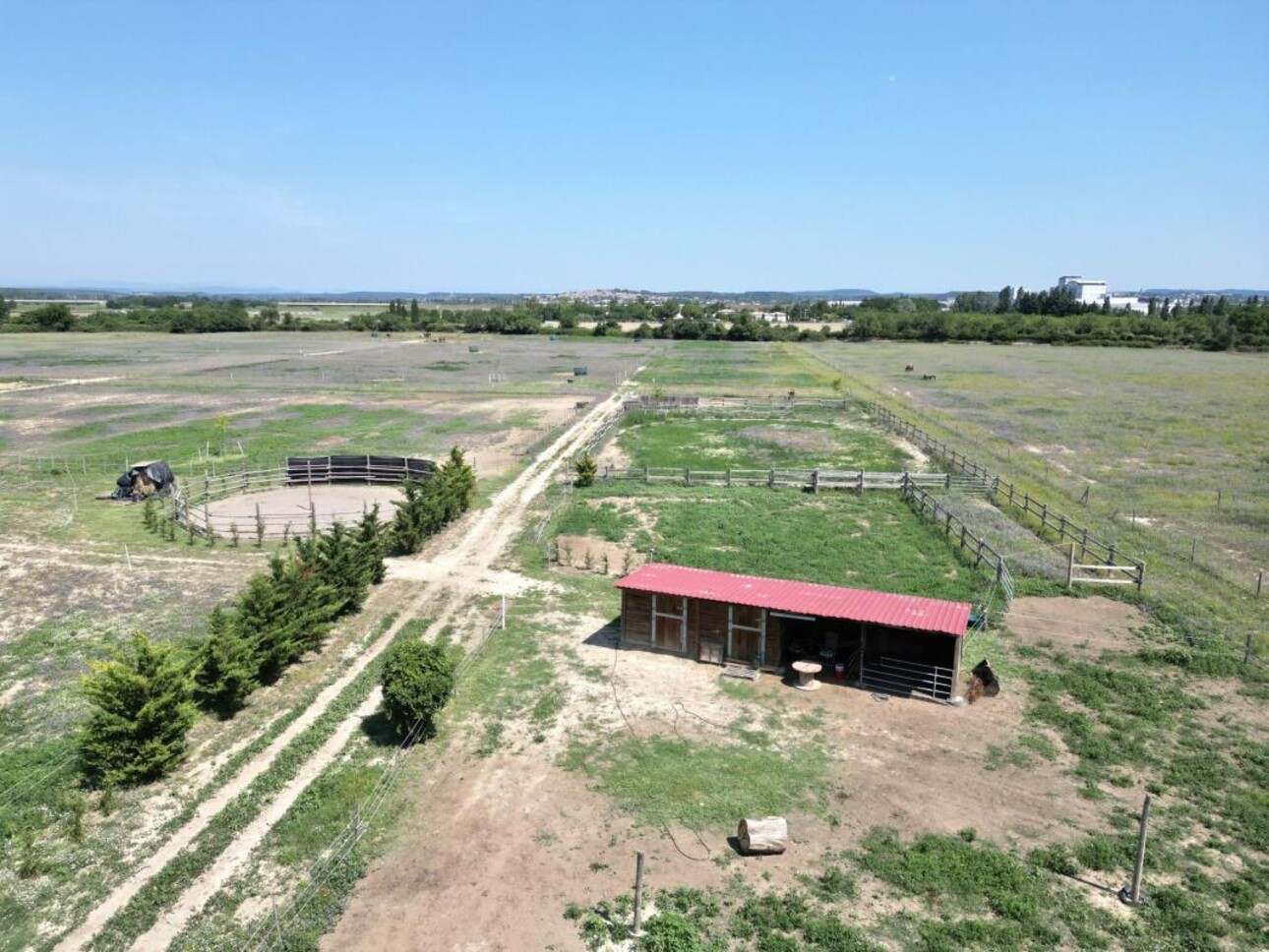 Photos 17 - Equestrian - Propriété équestre de 15 HA à 20 MN de la mer - Aimargues