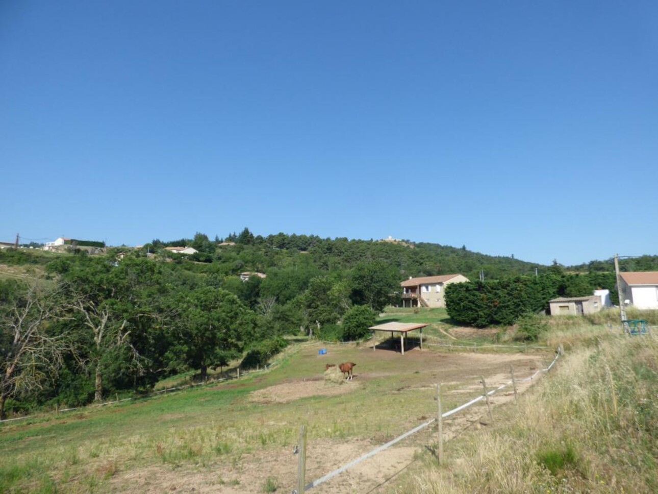 Photos 4 - Equestrian - Ecurie de propriétaire et Centre équestre sur 25 ha - A 20 min