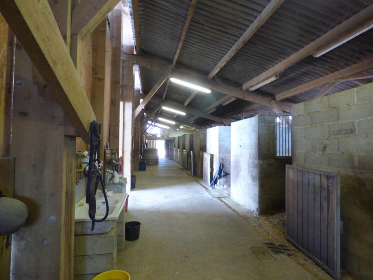 Photos 6 - Equestrian - Ecurie de propriétaire et Centre équestre sur 25 ha - A 20 min