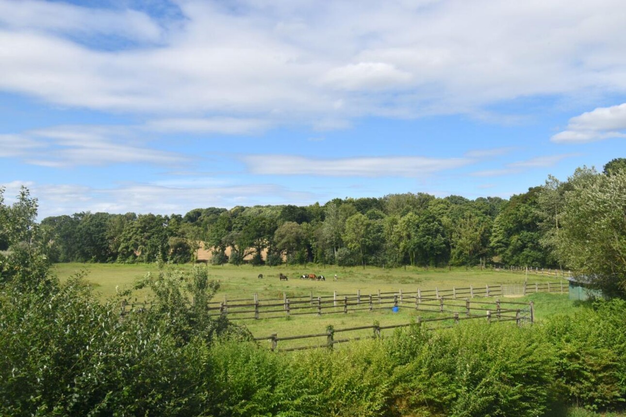 Photos 5 - Equestrian - CENTRE ÉQUESTRE, PENSION SUR 34,78 HA - SECTEUR DE LAMBALLE (22