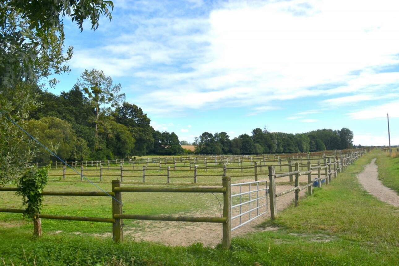 Photos 6 - Equestrian - CENTRE ÉQUESTRE, PENSION SUR 34,78 HA - SECTEUR DE LAMBALLE (22