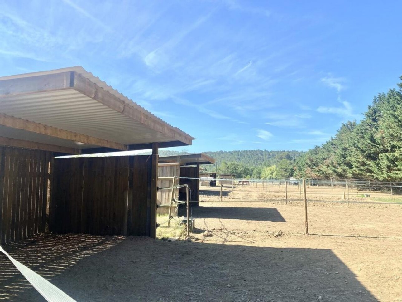 Photos 6 - Equestrian - Mas, écuries et dépendances sur 15 hectares - Brignoles (83)