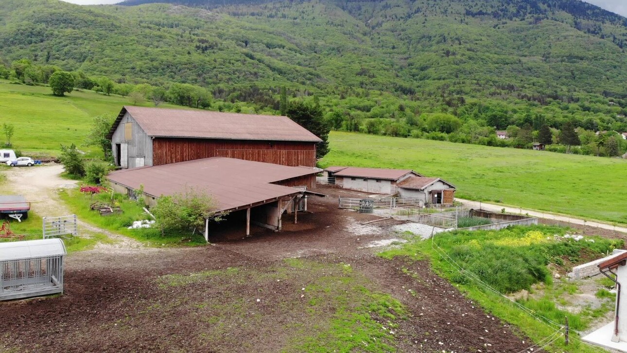 Photos 4 - Equestrian - Propriété à vocation équestre - Secteur Est de l'Ain (01