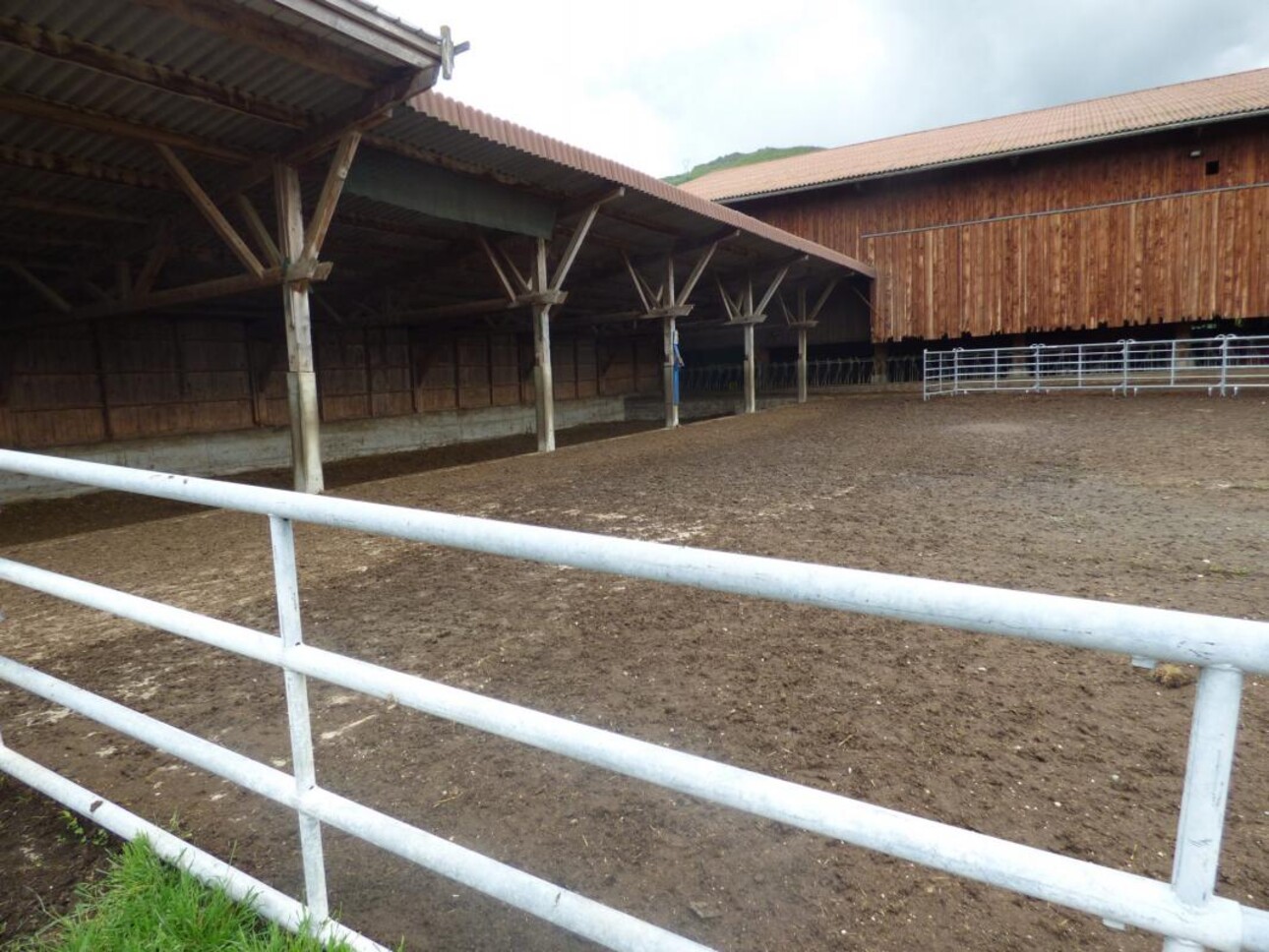 Photos 11 - Equestrian - Propriété à vocation équestre - Secteur Est de l'Ain (01