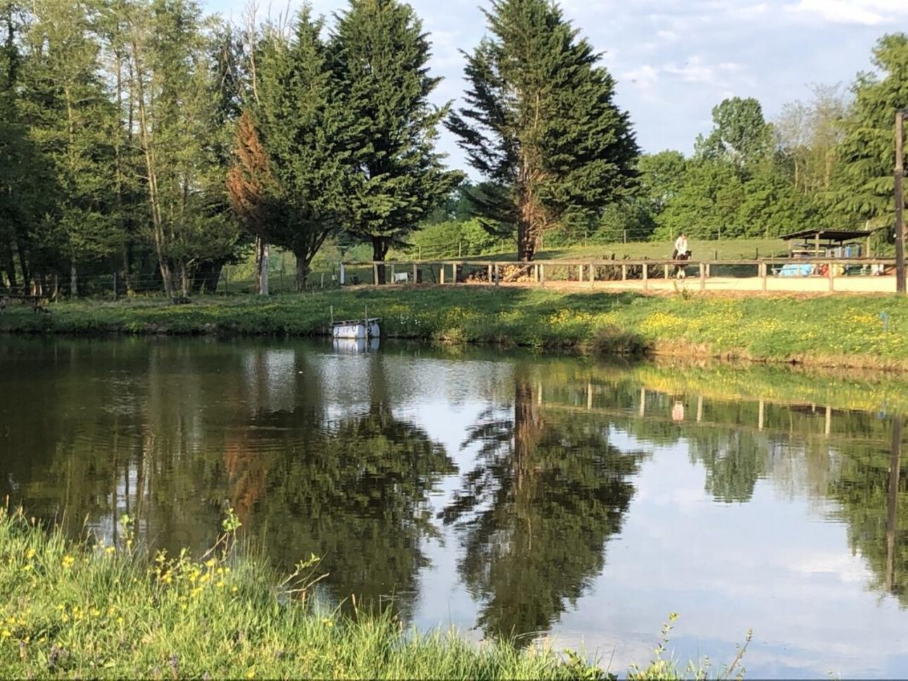 Photos 4 - Equestrian - Propriété équestre de 11,5 ha - Secteur Sud-Est Macon (01)