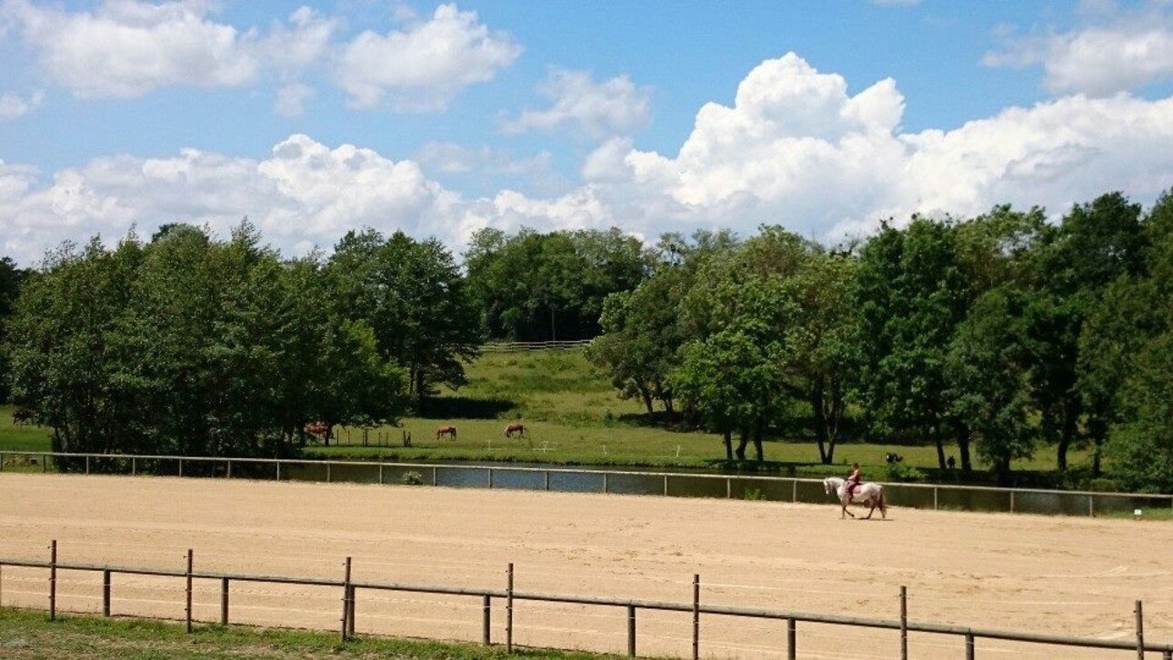 Photos 5 - Equestrian - Propriété équestre de 11,5 ha - Secteur Sud-Est Macon (01)