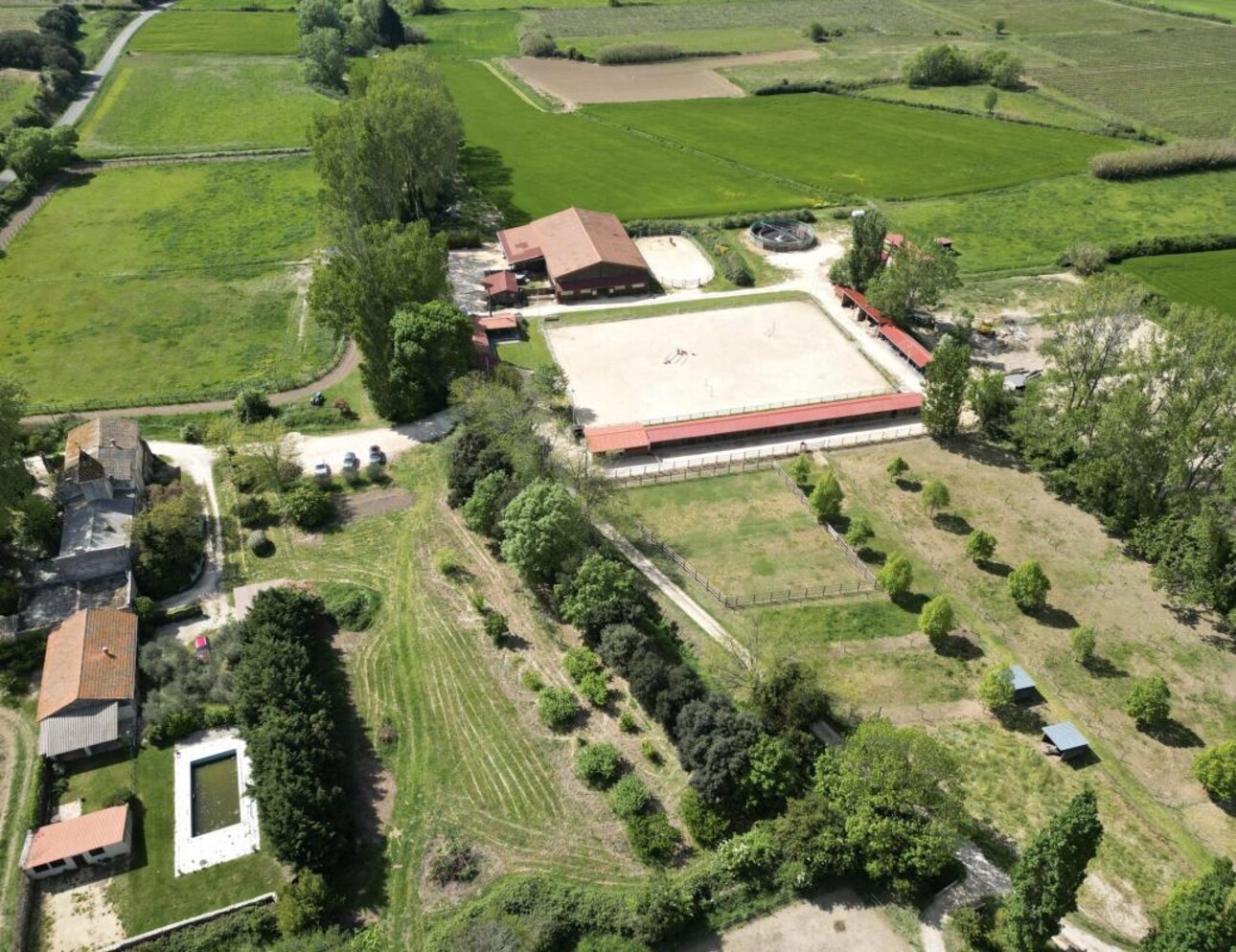 Photos 1 - Equestrian - Écurie moderne en plein coeur de la Provence (30)