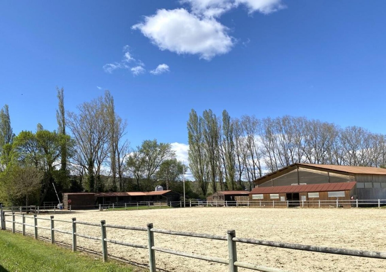 Photos 4 - Equestrian - Écurie moderne en plein coeur de la Provence (30)