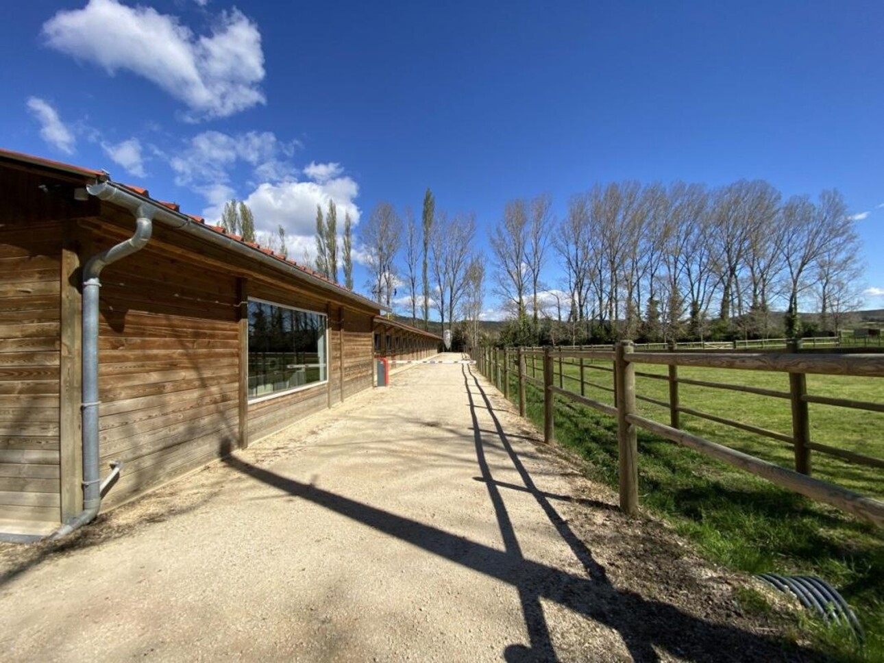 Photos 7 - Equestrian - Écurie moderne en plein coeur de la Provence (30)