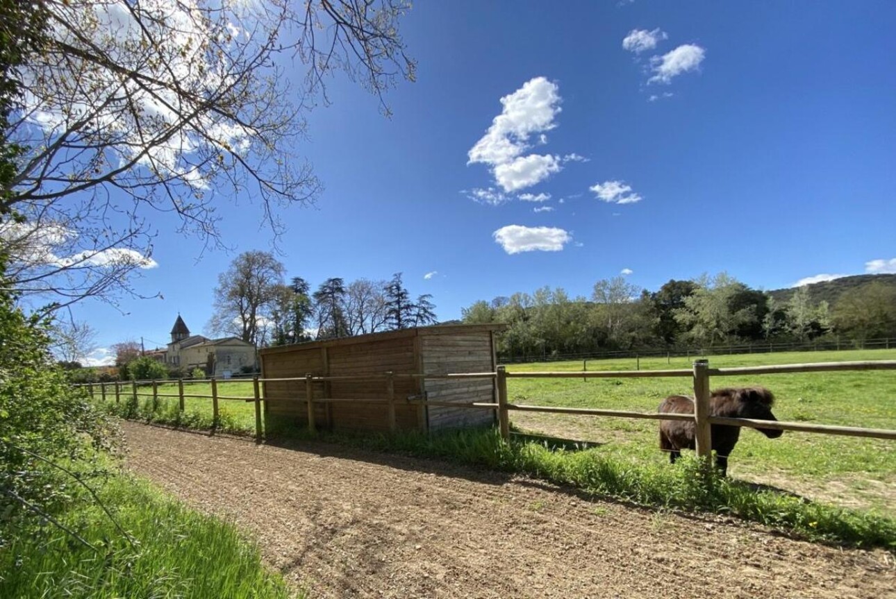 Photos 10 - Equestrian - Écurie moderne en plein coeur de la Provence (30)