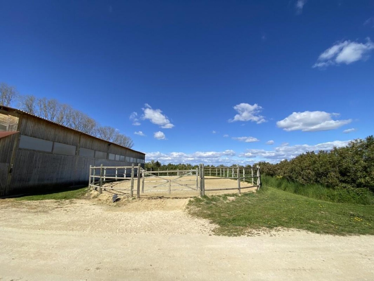 Photos 13 - Equestrian - Écurie moderne en plein coeur de la Provence (30)