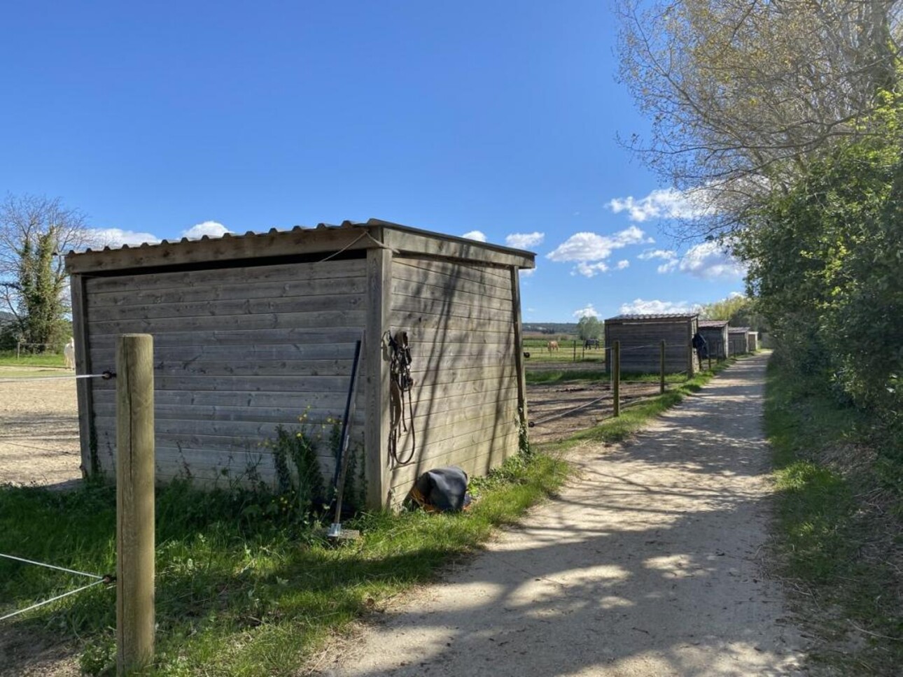 Photos 20 - Equestrian - Écurie moderne en plein coeur de la Provence (30)