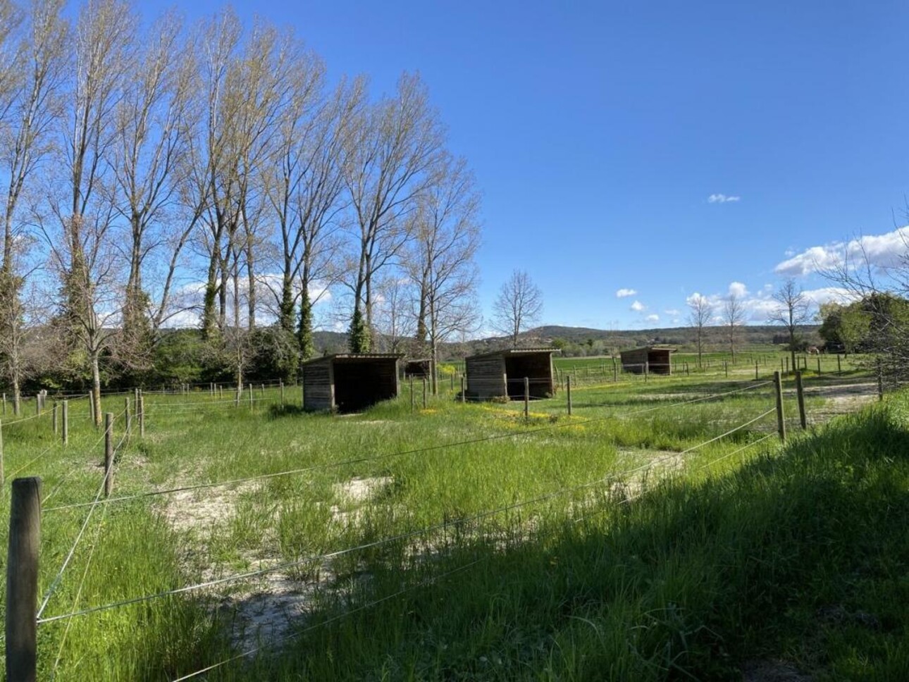 Photos 21 - Equestrian - Écurie moderne en plein coeur de la Provence (30)