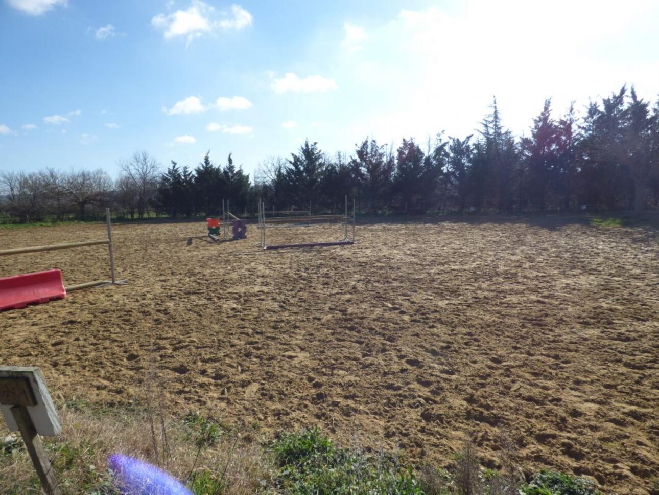 Photos 9 - Equestrian - Propriété équestre de 3ha - Secteur Chanas (26)