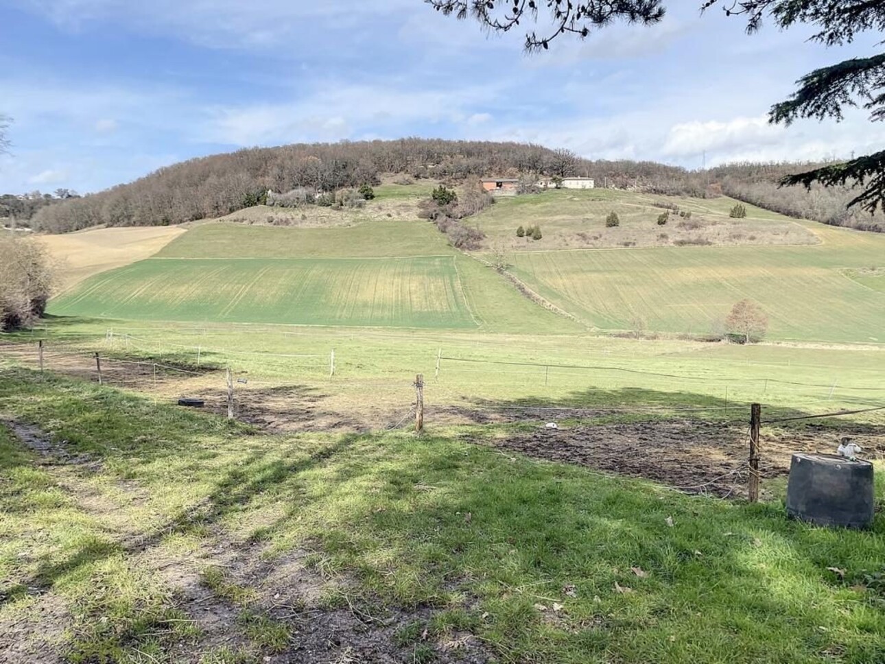 Photos 6 - Equestrian - Propriété équestre sur 11 hectares - secteur Moissac (82)