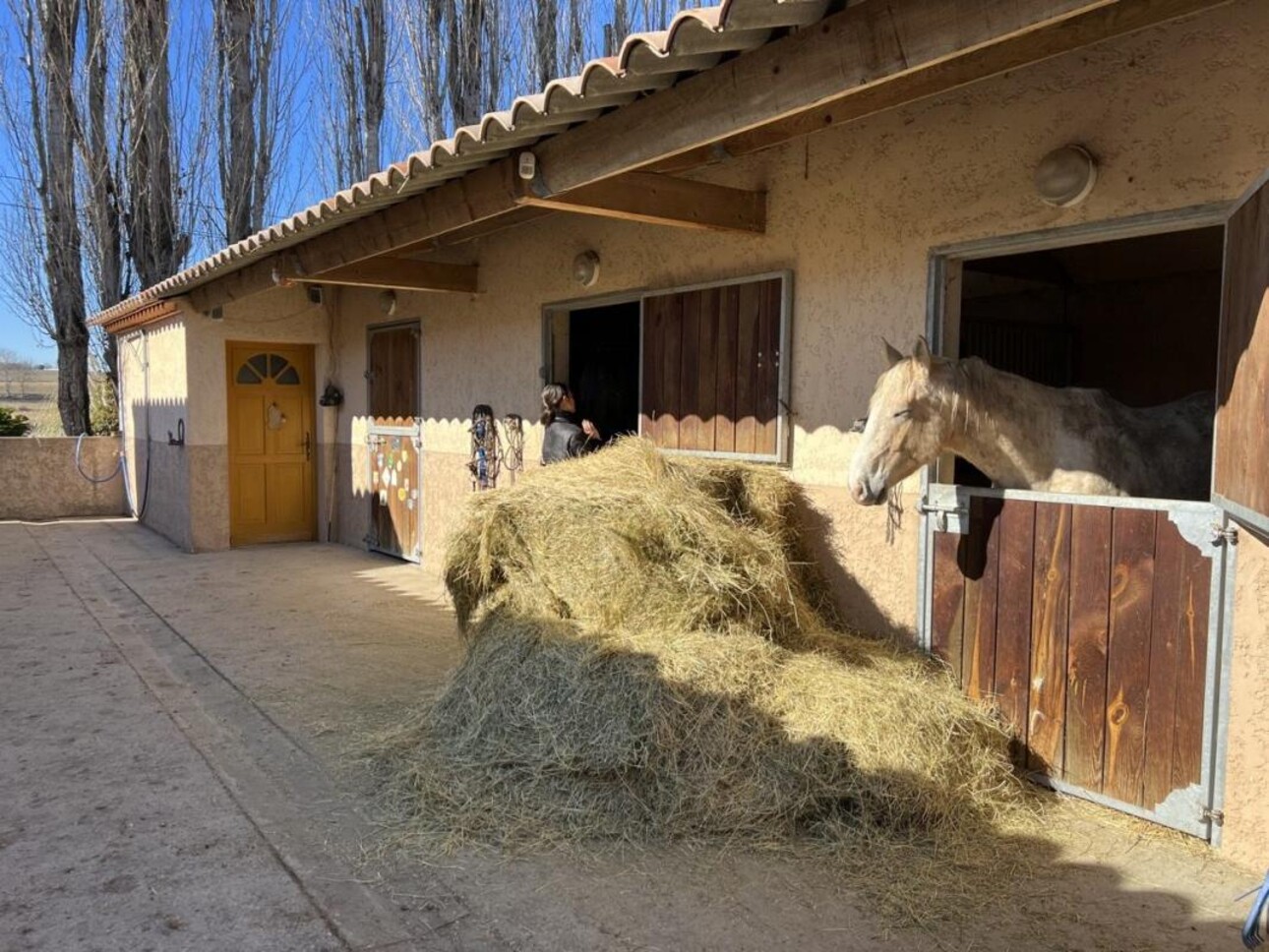 Photos 3 - Équestre - Charmante propriété équestre sur 1,7 ha entre Forcalquier et