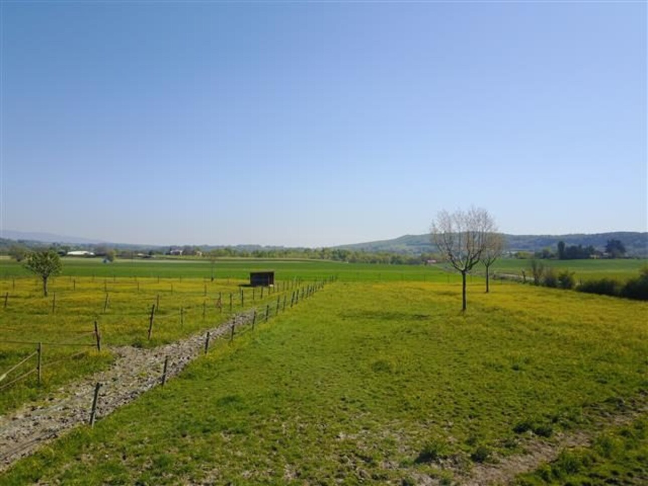 Photos 5 - Équestre - Charmante propriété équestre sur 1,7 ha entre Forcalquier et