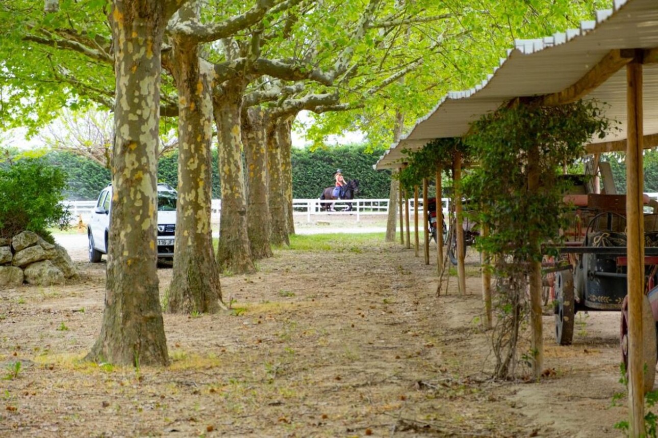 Photos 3 - Équestre - Domaine équestre d'exception sur 5 ha secteur Aix en Provence