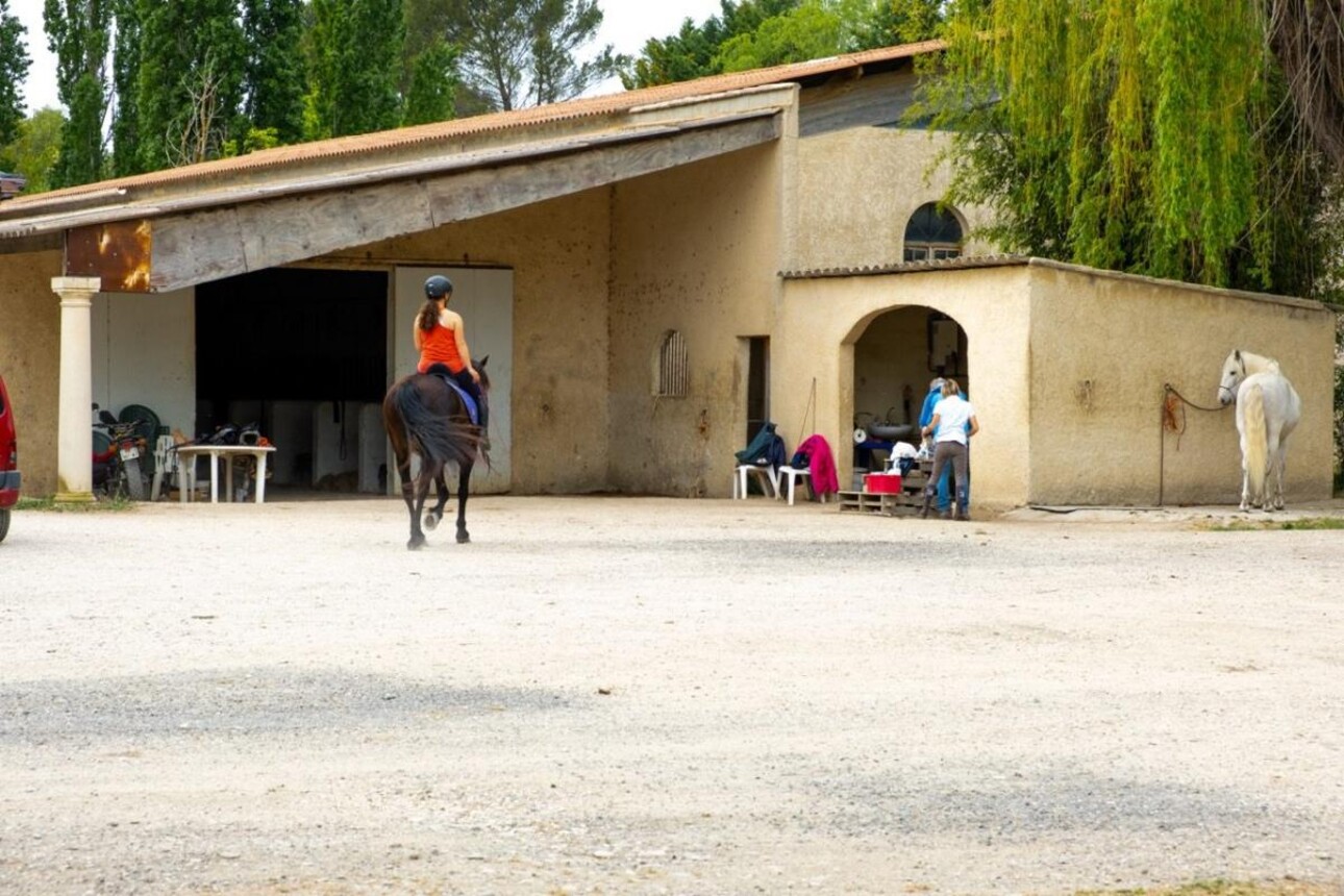 Photos 5 - Équestre - Domaine équestre d'exception sur 5 ha secteur Aix en Provence