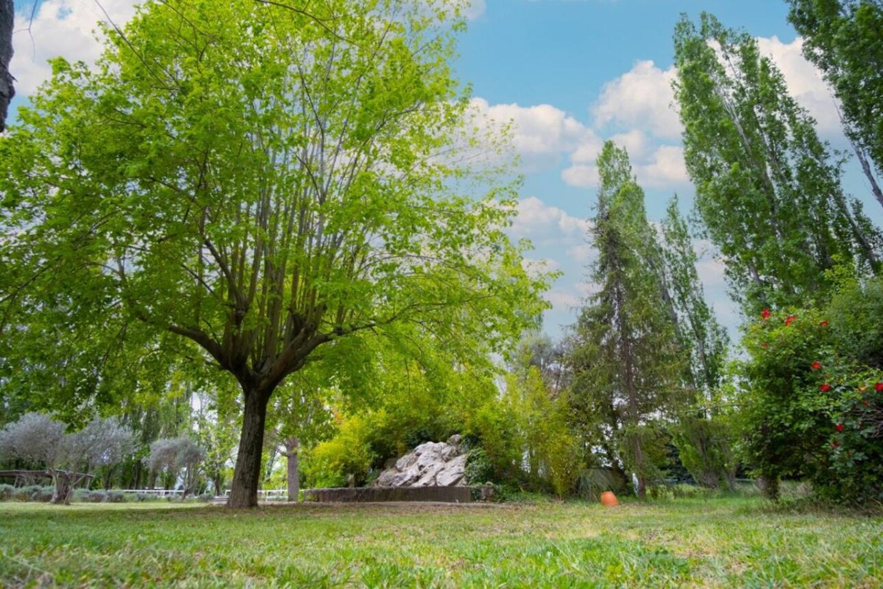 Photos 15 - Équestre - Domaine équestre d'exception sur 5 ha secteur Aix en Provence