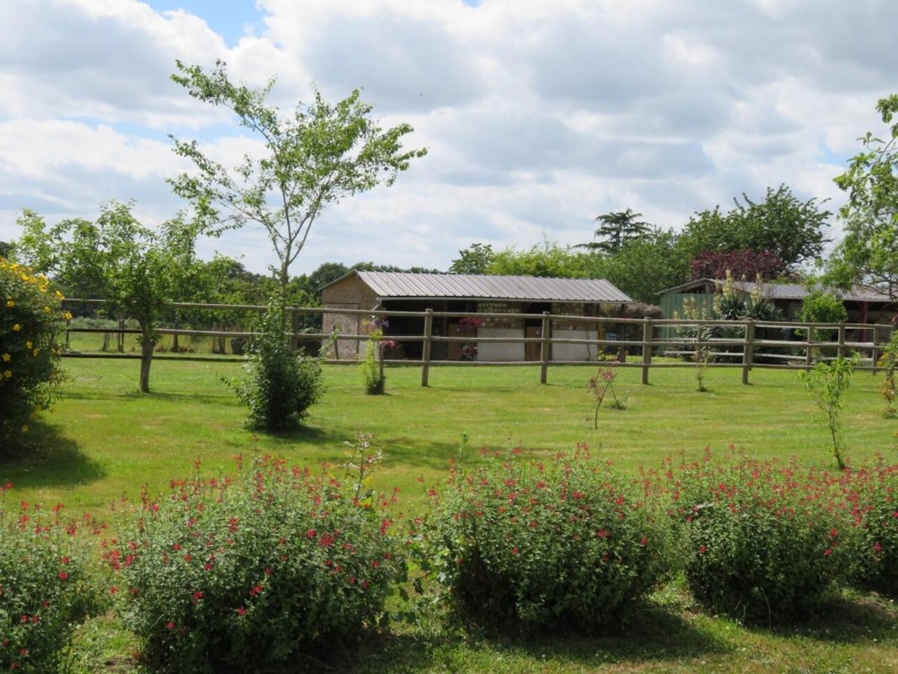 Photos 1 - Equestrian - PROPRIÉTÉ ÉQUESTRE SUR 2 HA - SECTEUR DE RENNES OUEST (35)