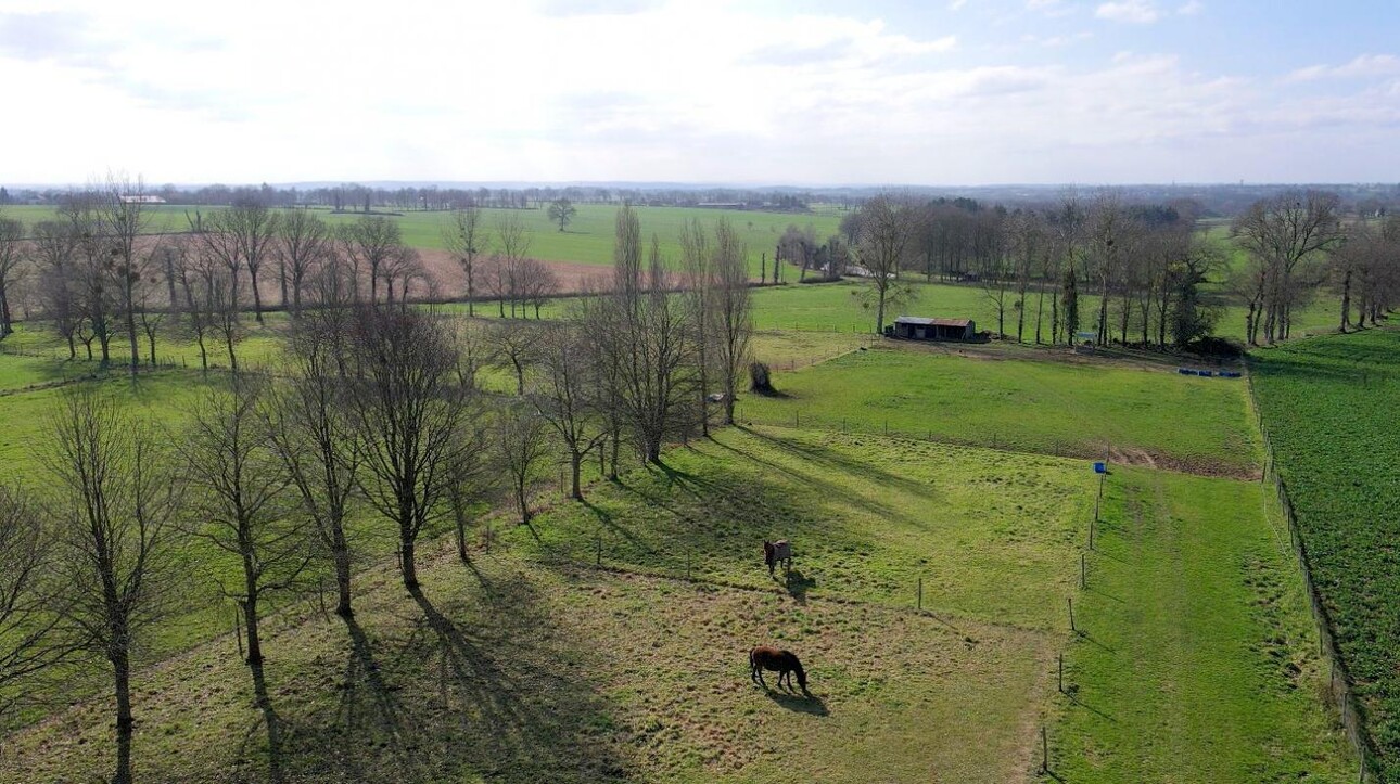 Photos 7 - Equestrian - PROPRIÉTÉ ÉQUESTRE SUR 2 HA - SECTEUR DE RENNES OUEST (35)